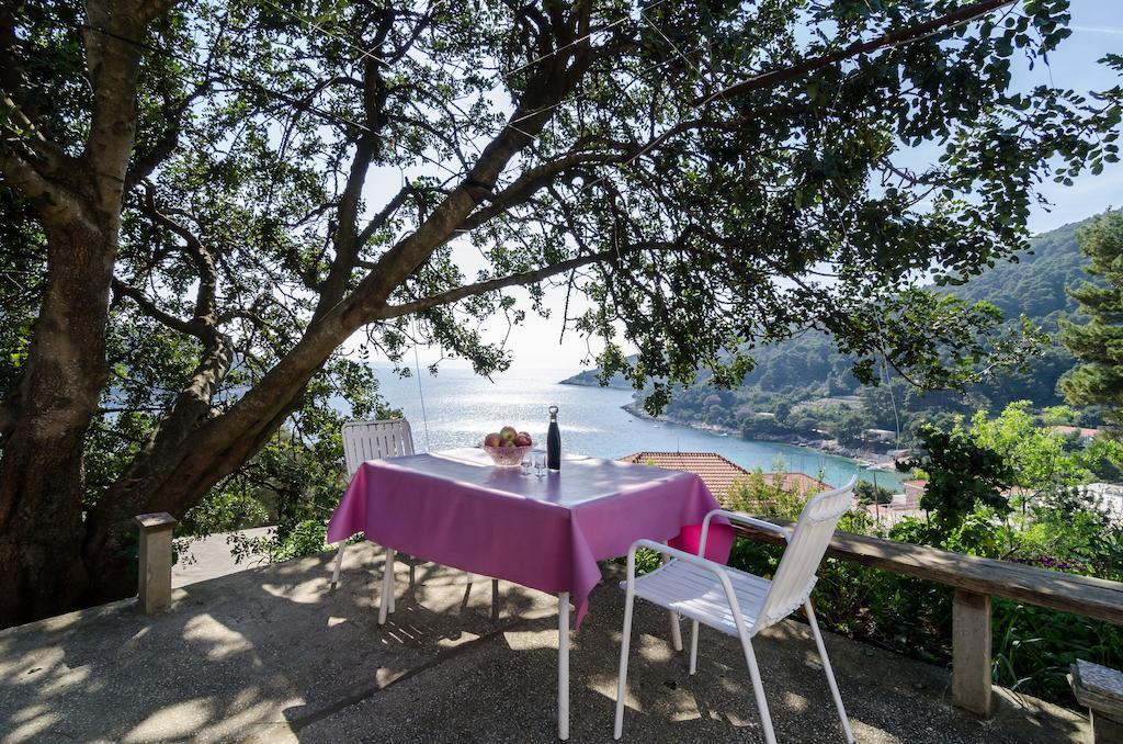 Guest House Kralj Saplunara Luaran gambar