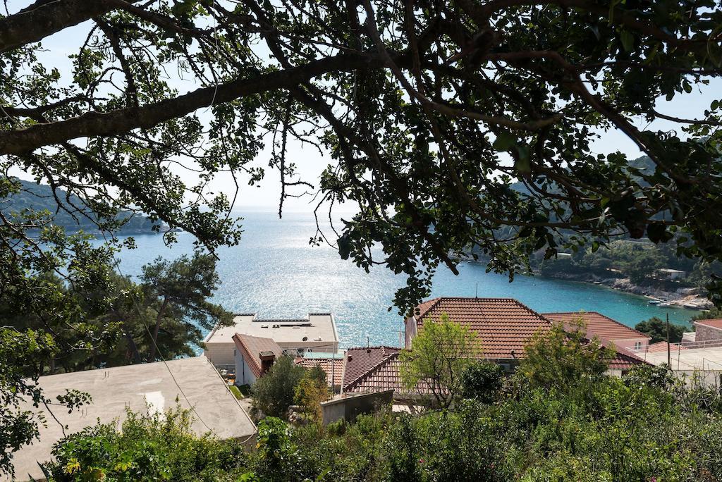 Guest House Kralj Saplunara Luaran gambar