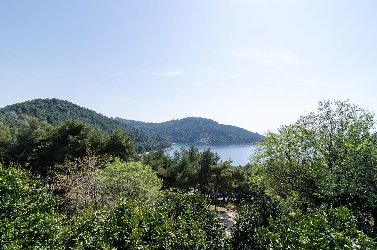 Guest House Kralj Saplunara Luaran gambar