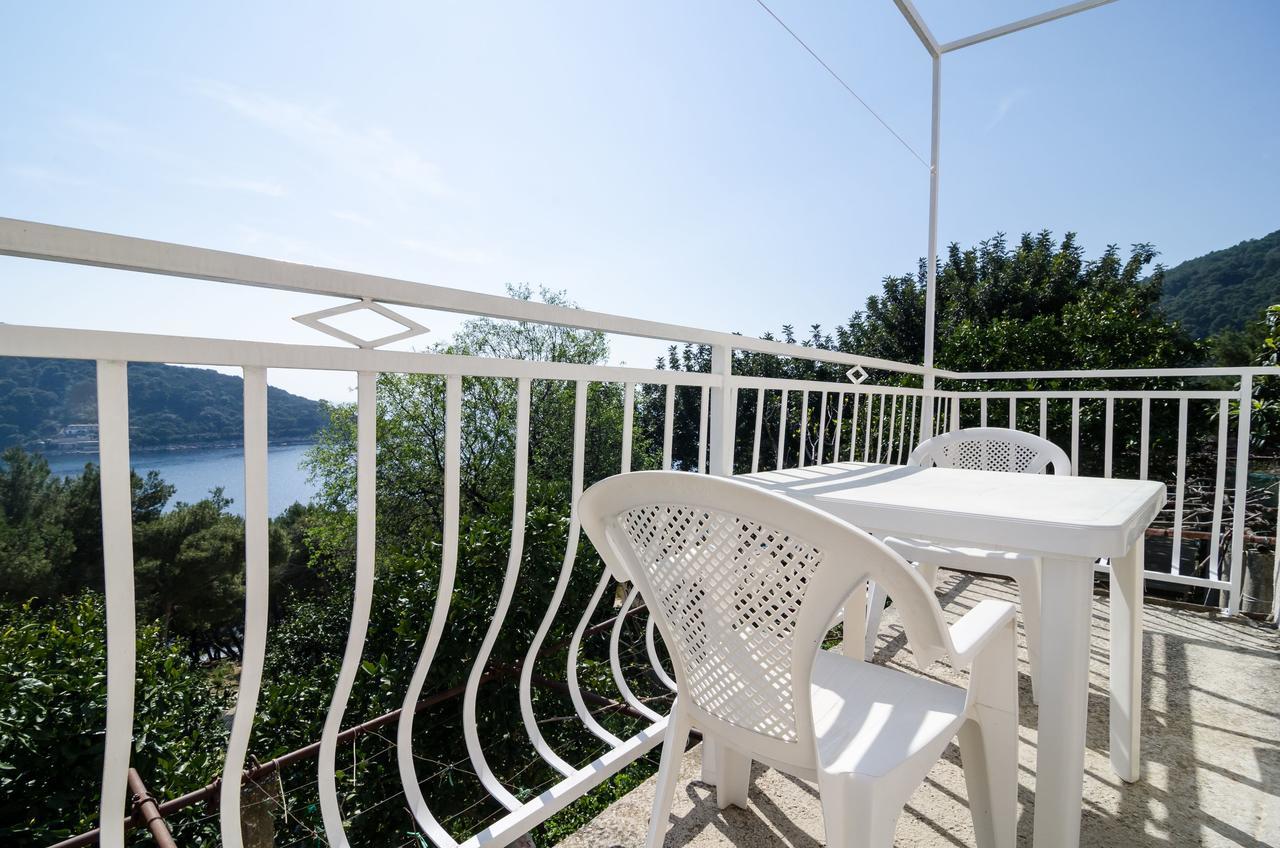 Guest House Kralj Saplunara Luaran gambar